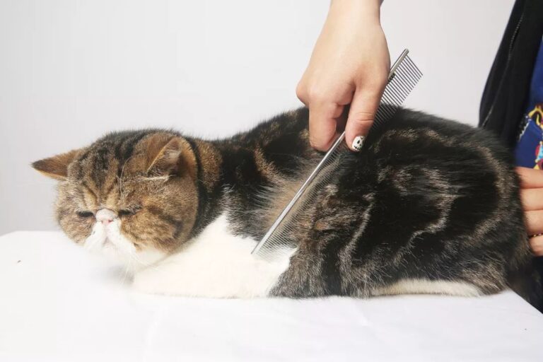 保安全 惠民生 促发展！辽宁推进“我为群众办实事、争作贡献促振兴”实践活动走深走实