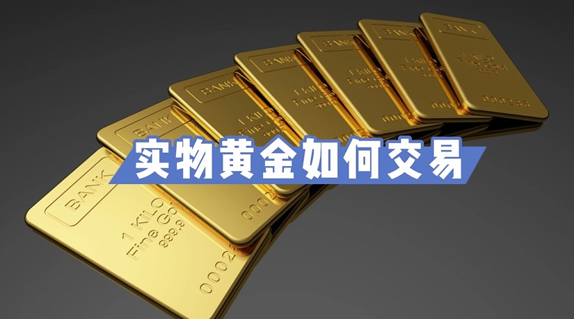 中巴深化港口互联互通，珠海高栏港经验获拉美关注