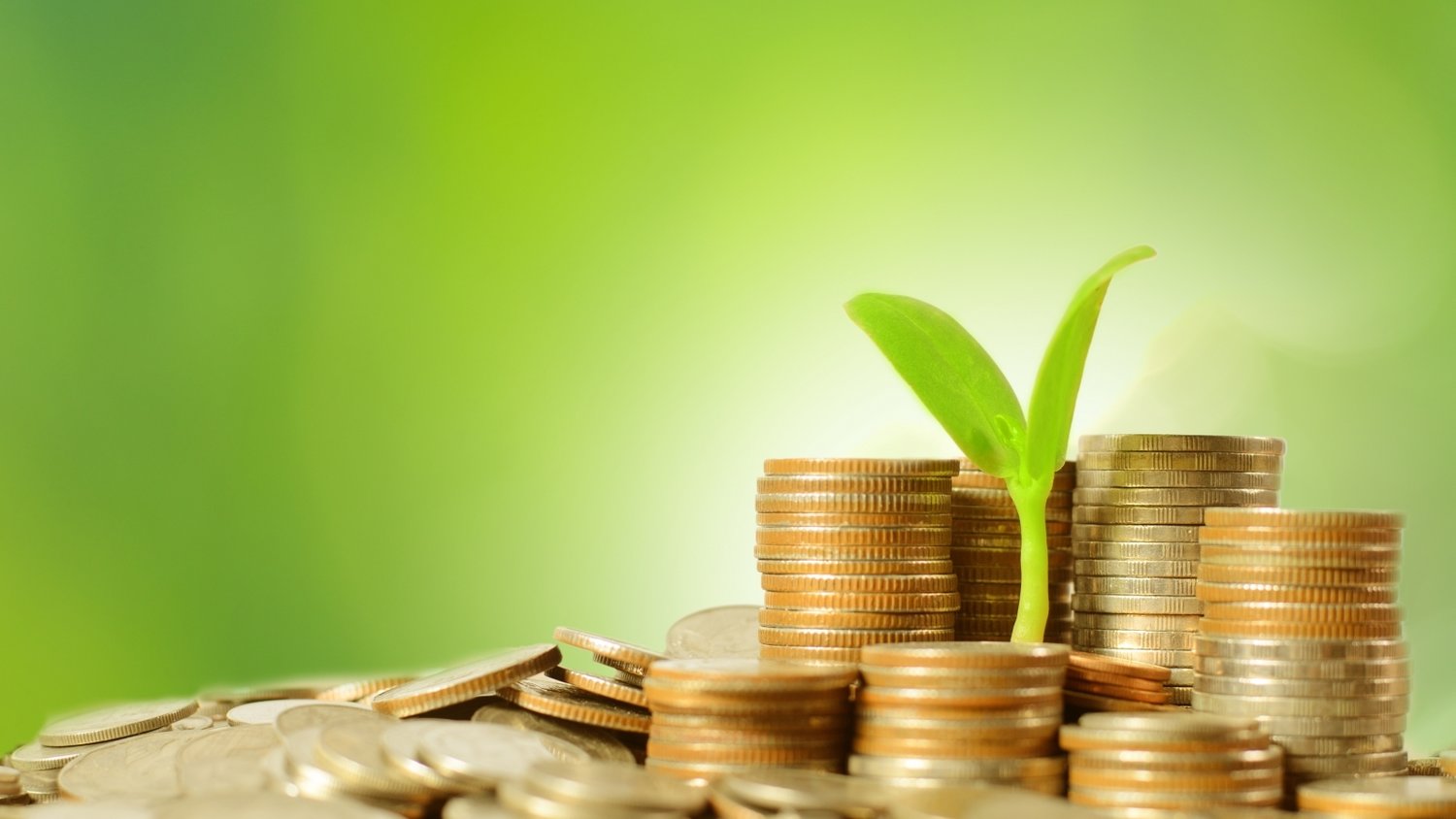 广东省市场监管局全面推进餐饮服务企业落实食品安全“两个责任”